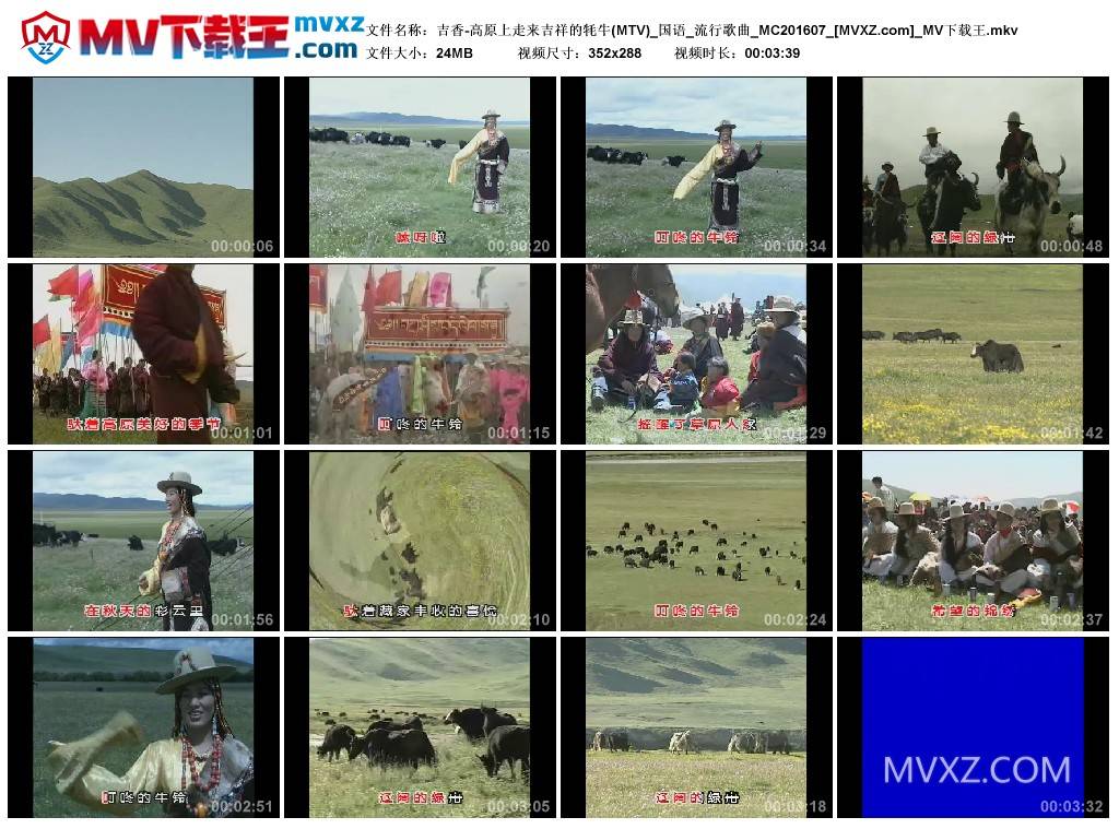 吉香-高原上走来吉祥的牦牛(MTV)_国语_流行歌曲_MC201607